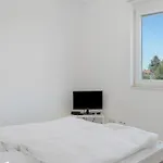 Neubau 1 *
